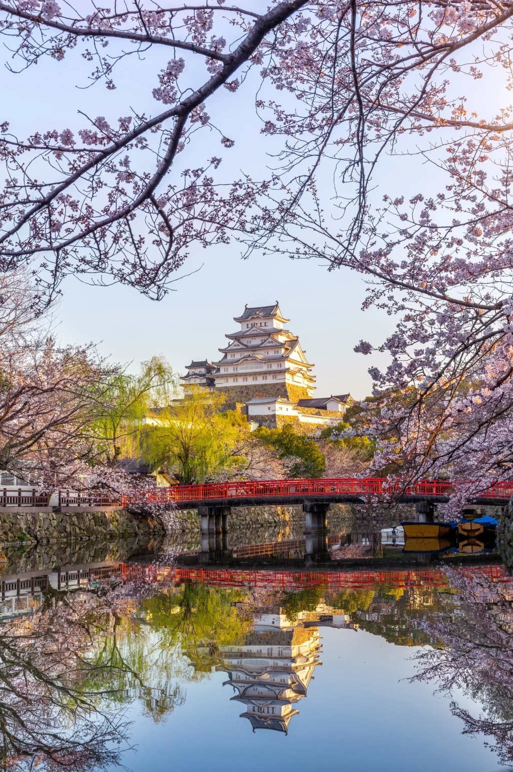 cherry-blossoms-castle-himeji-japan-scaled.webp